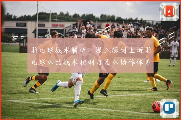 羽毛球战术解析：深入探讨上海羽毛球队的战术控制与团队协作体系